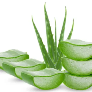 Fresh AloeVera 400g / Aloe Vera 400g (F)