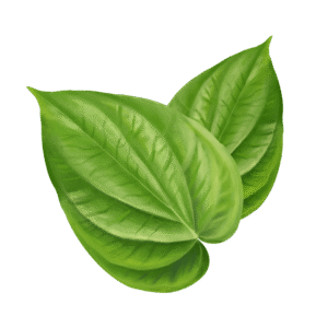 Betel Leaves 5stk / Betelblätter 5stk. (F)