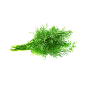 Dill Leaves 30g (F)