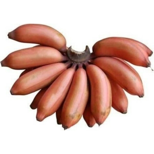 Red Banana 180g (F)