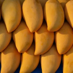 Honey Mango Box 3kg approx. (F)