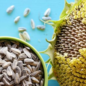 Sunflower Seed Raaj