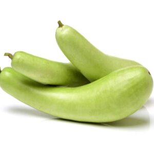 Lauki (Bottle Gourd) 1stk (F)