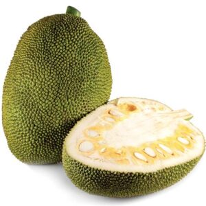 Fresh Jackfruit 1kg / Jackfrucht 1kg (F)