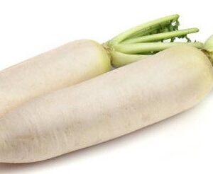 Beer Radish 1stk / Bierrettich 1stk. (F)