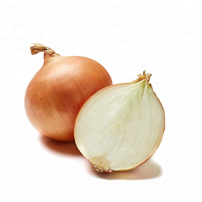 Onions 500g / Zwiebel Gelb 500g (F)