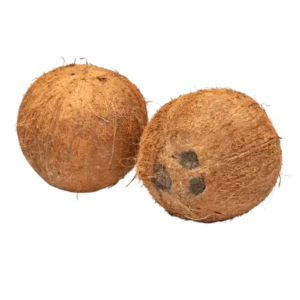 Coconut 1stk / Kokosnuss 1stk. (F)